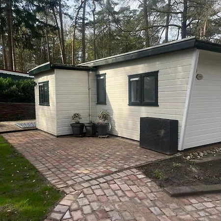 Tapuit * Laag-Soeren